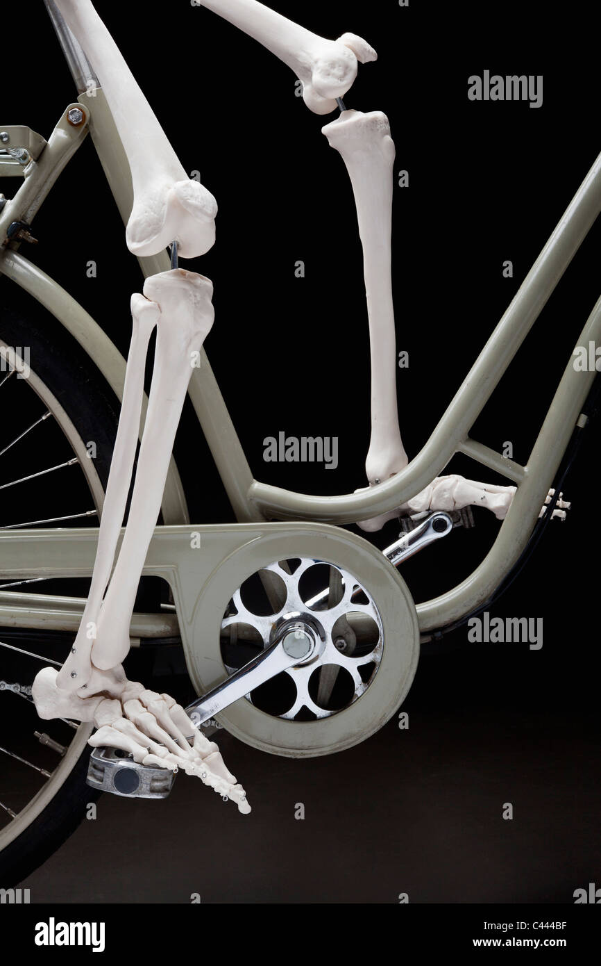 A skeleton on a bicycle, low section Stock Photo