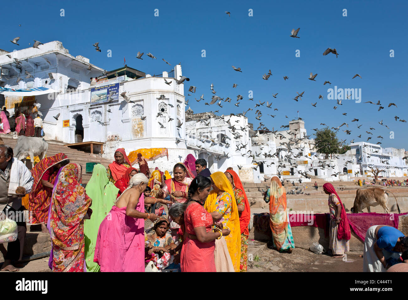 Women bathing in Pushkar Lake. Rajasthan. India Stock Photo