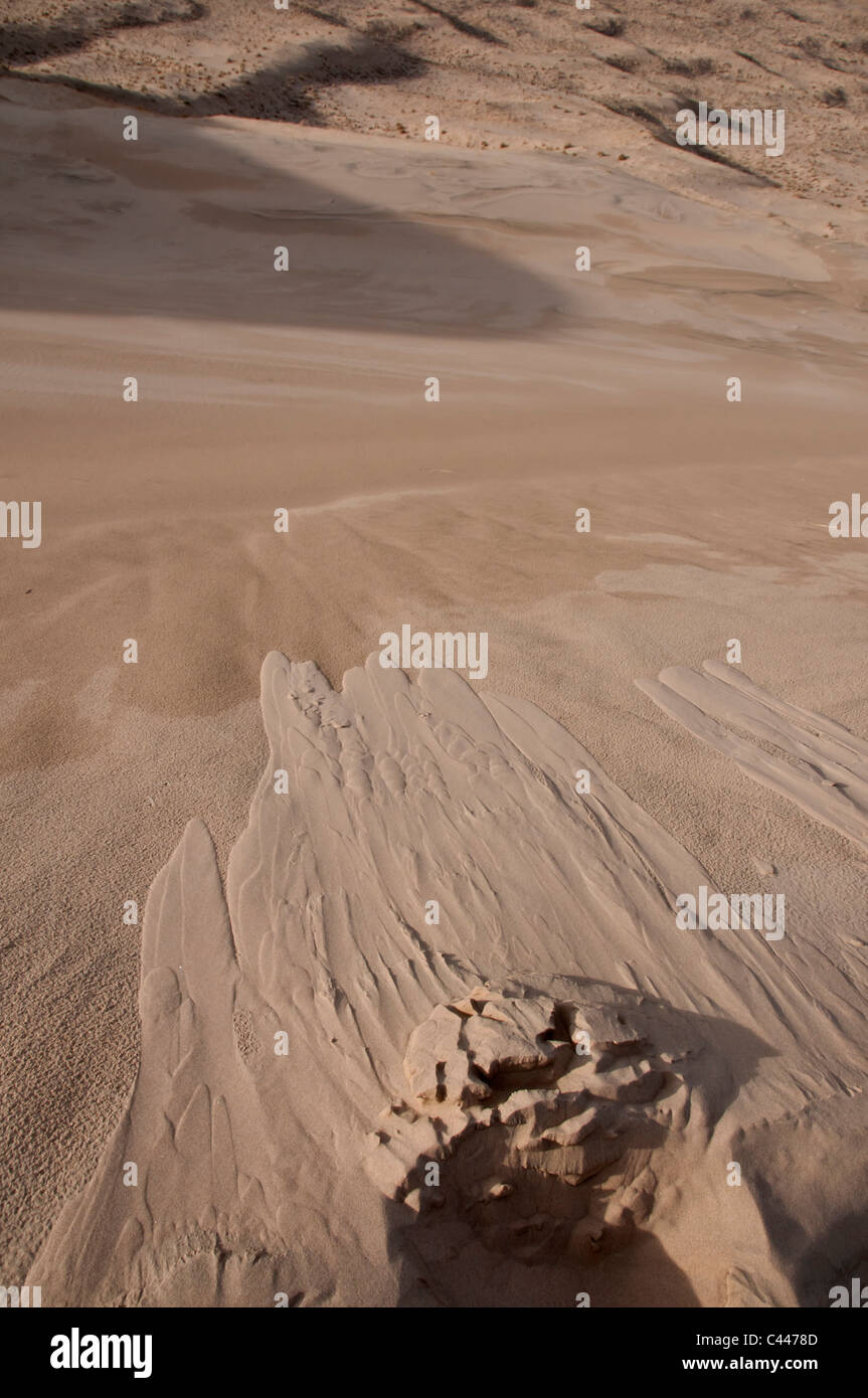 Kelso dunes, Mojave National Preserve, California, March, USA, North America, landscape, dune Stock Photo