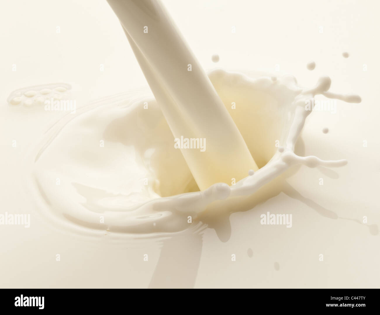 Splash of milk on a white background Stock Photo