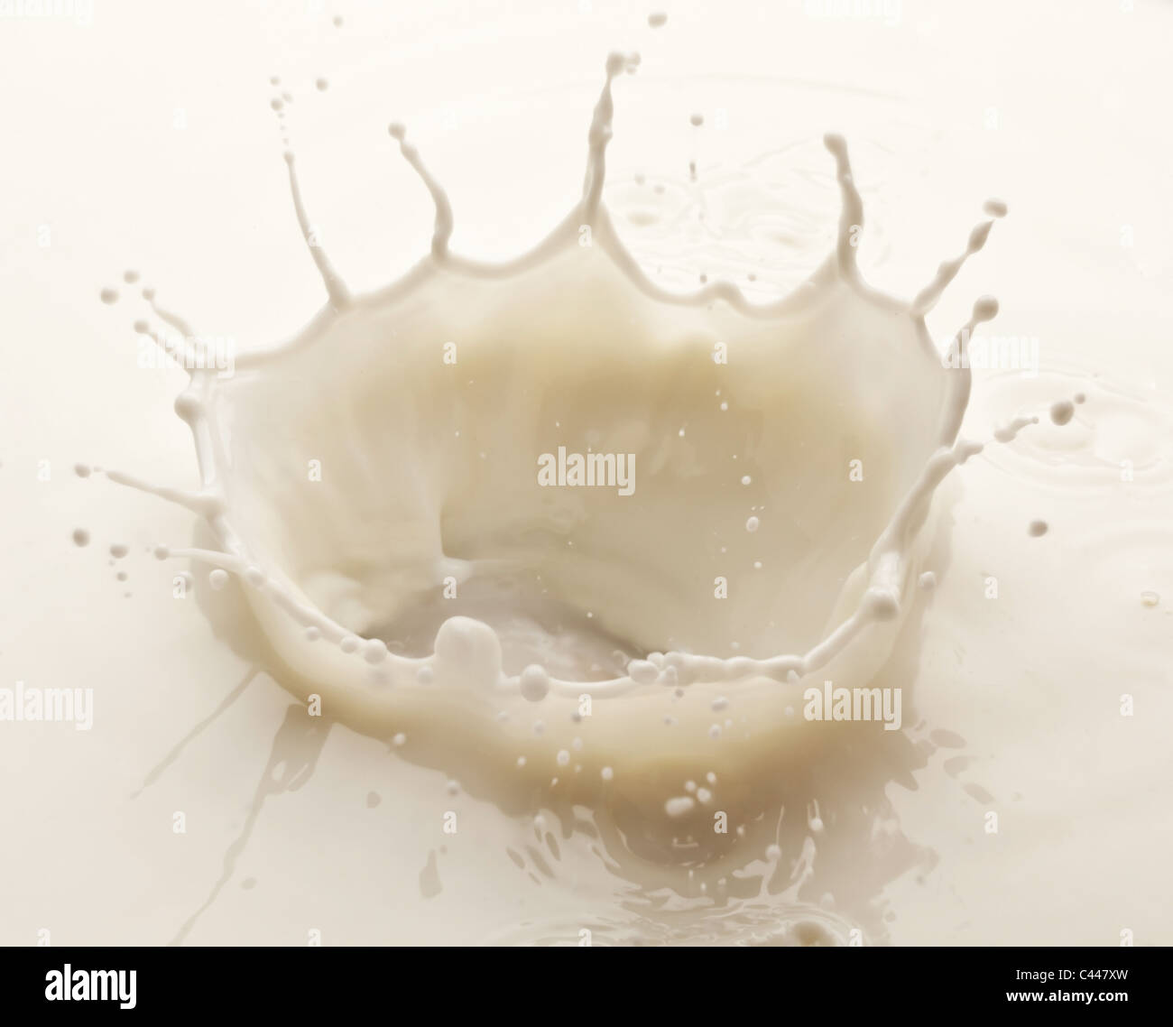 Splash of milk on a white background Stock Photo - Alamy