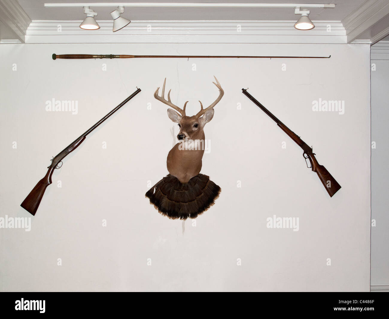https://c8.alamy.com/comp/C4486F/a-hunting-trophy-in-the-middle-of-two-old-fashioned-rifles-and-a-fishing-C4486F.jpg