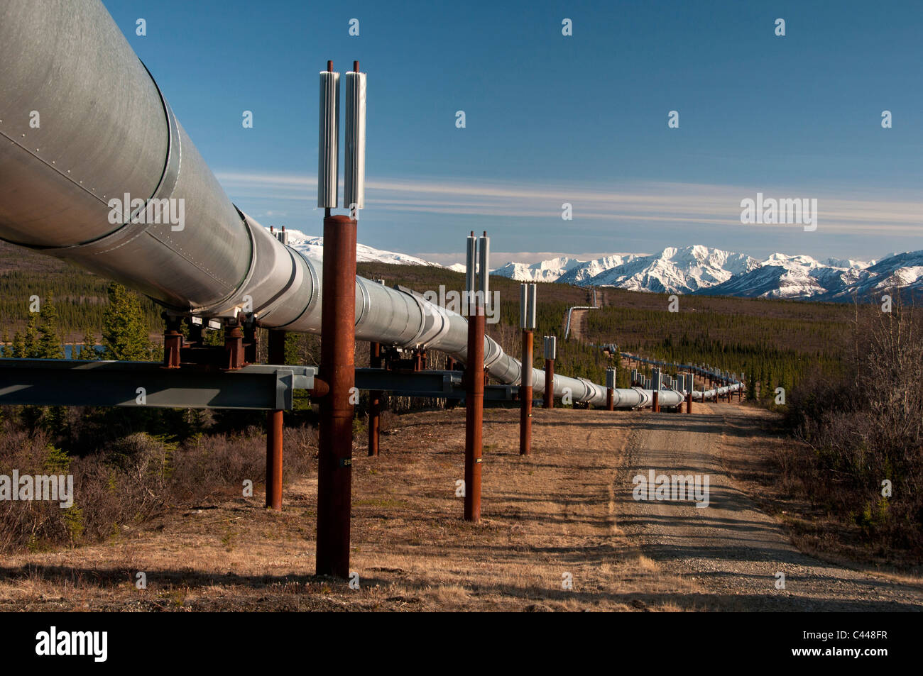 Alaska oil pipeline, near Delta, Alaska, North America, USA, pipeline 
