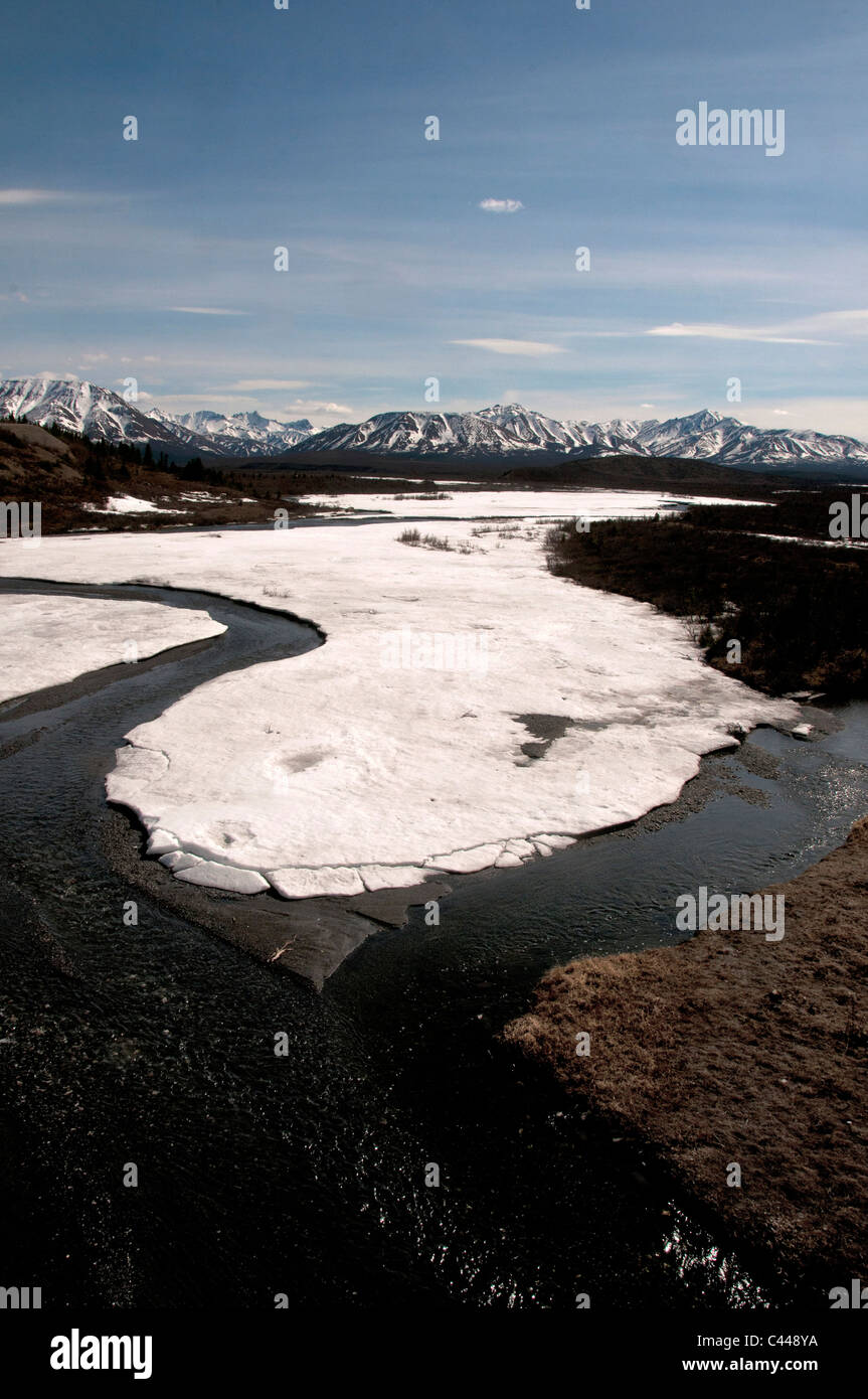 Savage River, Denali National Park, may, river, landscape, snow, Alaska, USA, North America, mountains Stock Photo