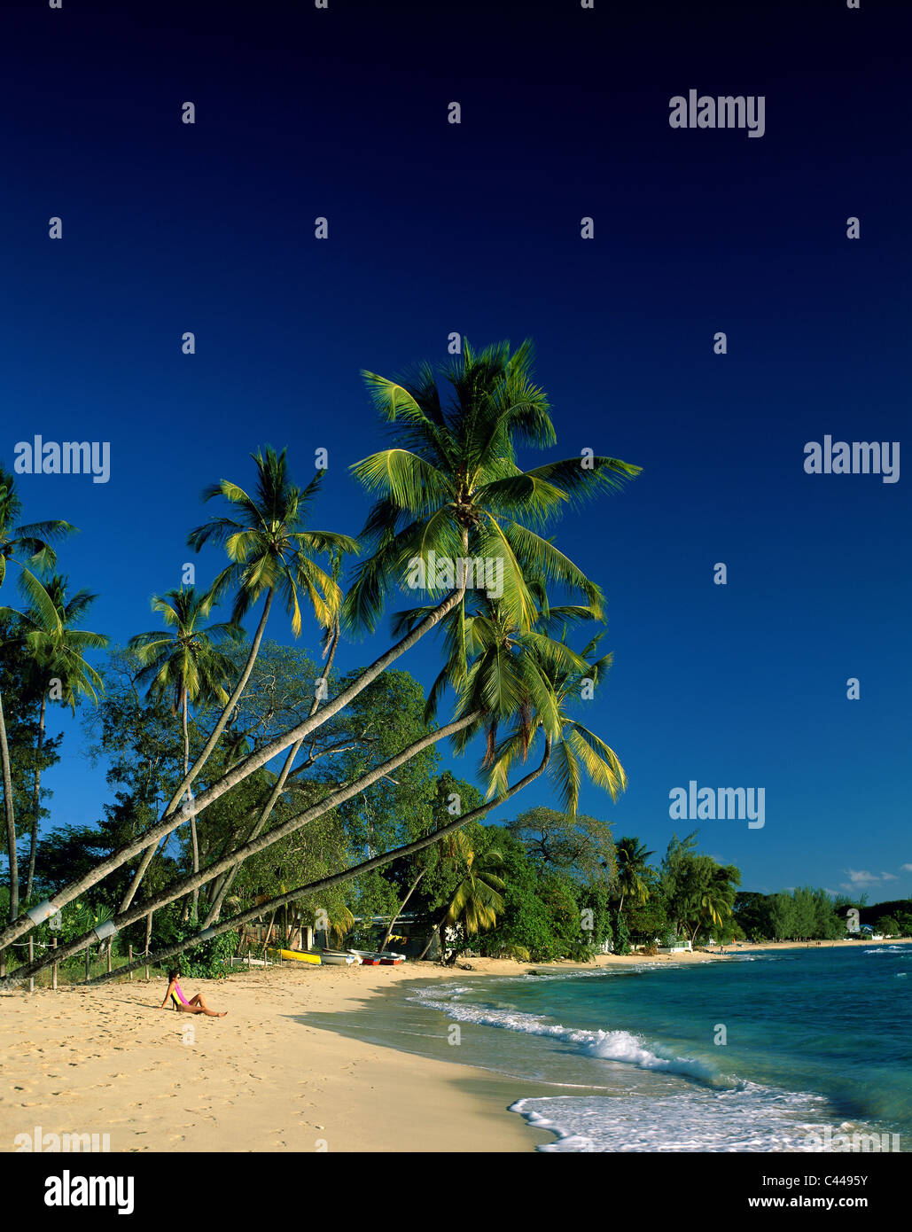 Barbados, Caribbean, Holiday, Islands, Kings beach, Landmark, Palm ...