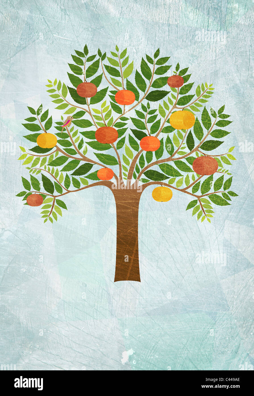 An apple tree with a bird perched on a branch Stock Photo - Alamy