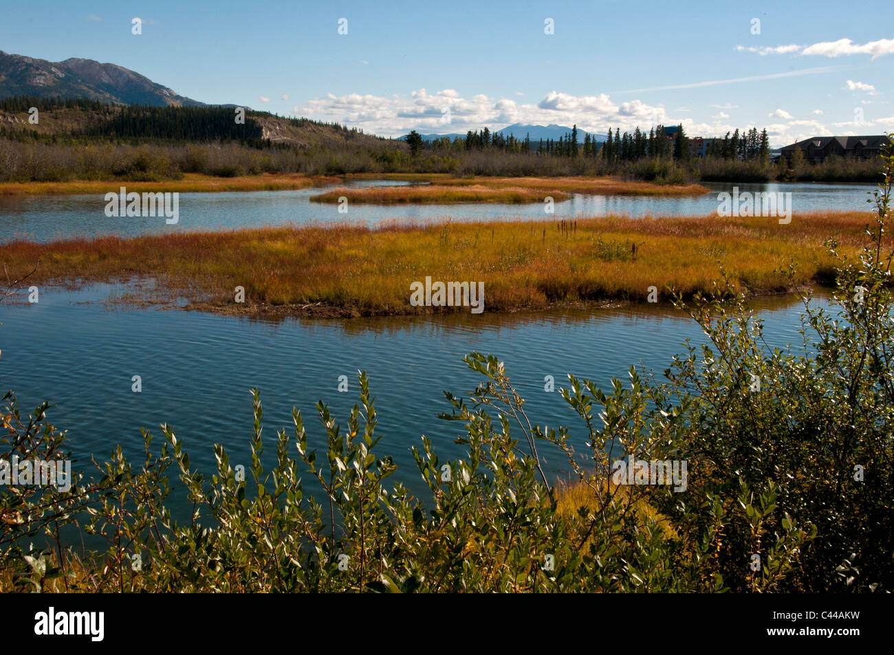 Yukon river, Whitehorse, Yukon, Canada, North landscape, nature, Stock Photo - Alamy