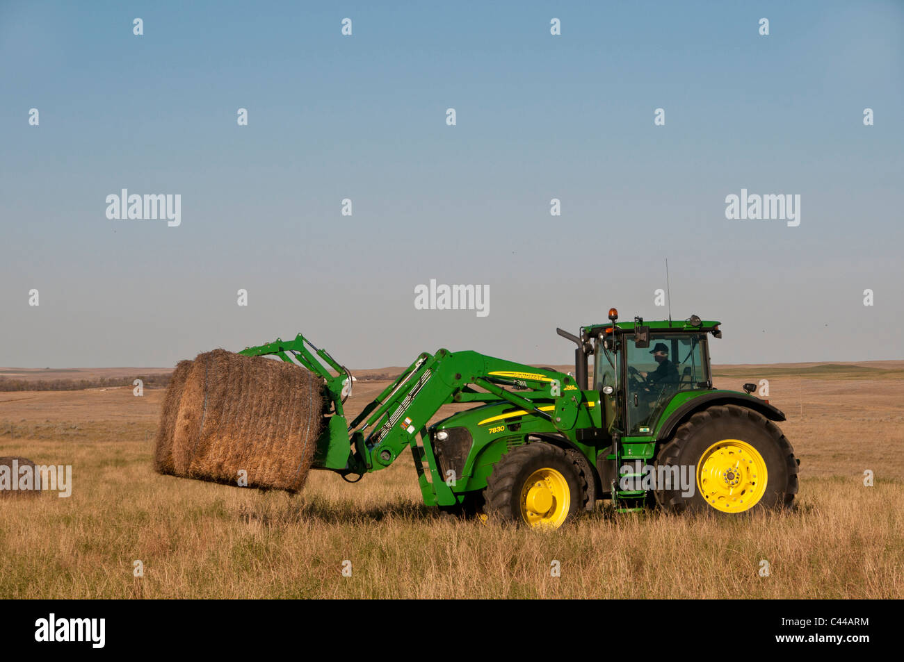 hay, hay bales, Southern Alberta, Canada, North America, agriculture