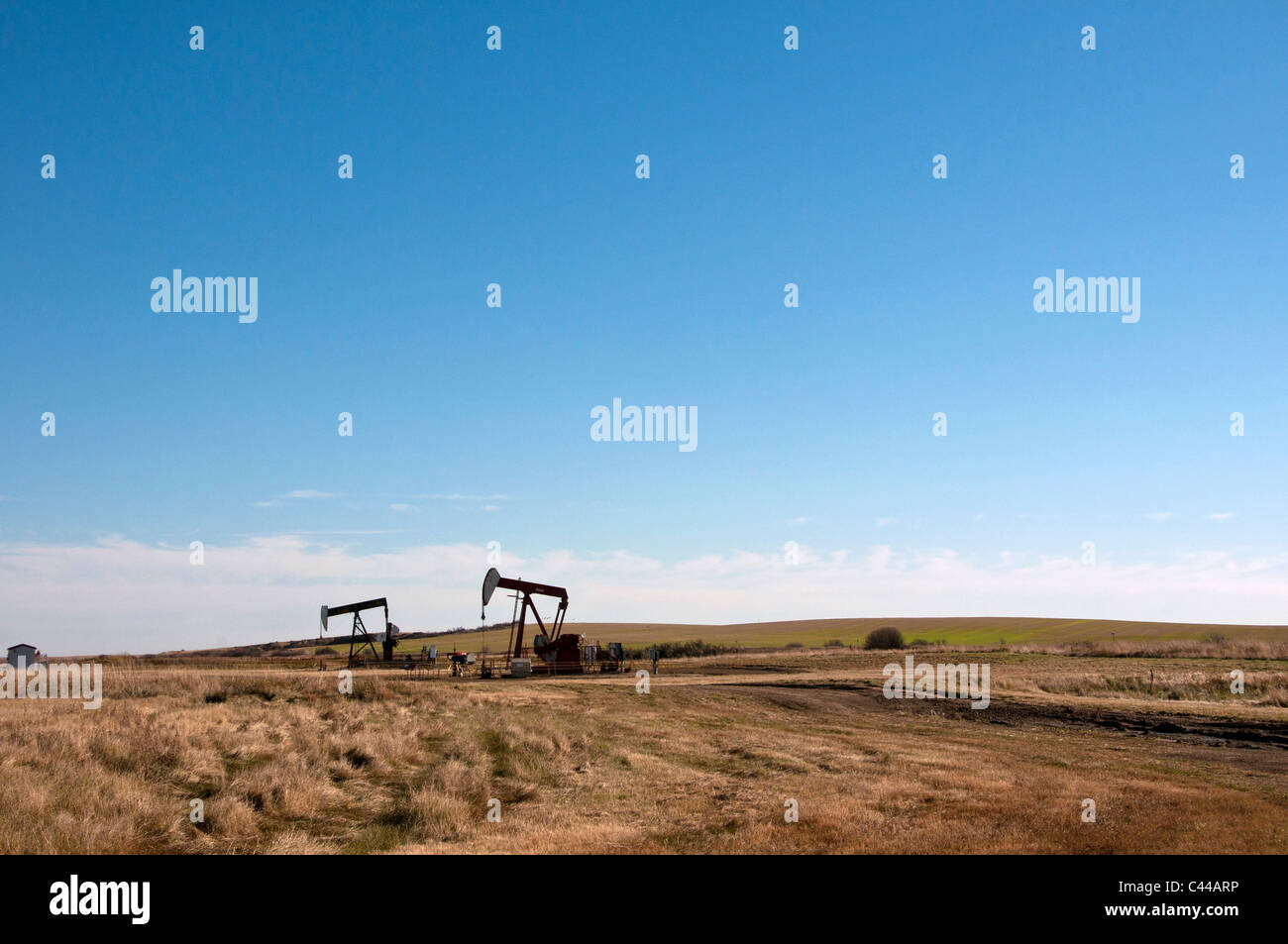 oil, wells, Southern Alberta, Canada, North America, industry, oil wells Stock Photo