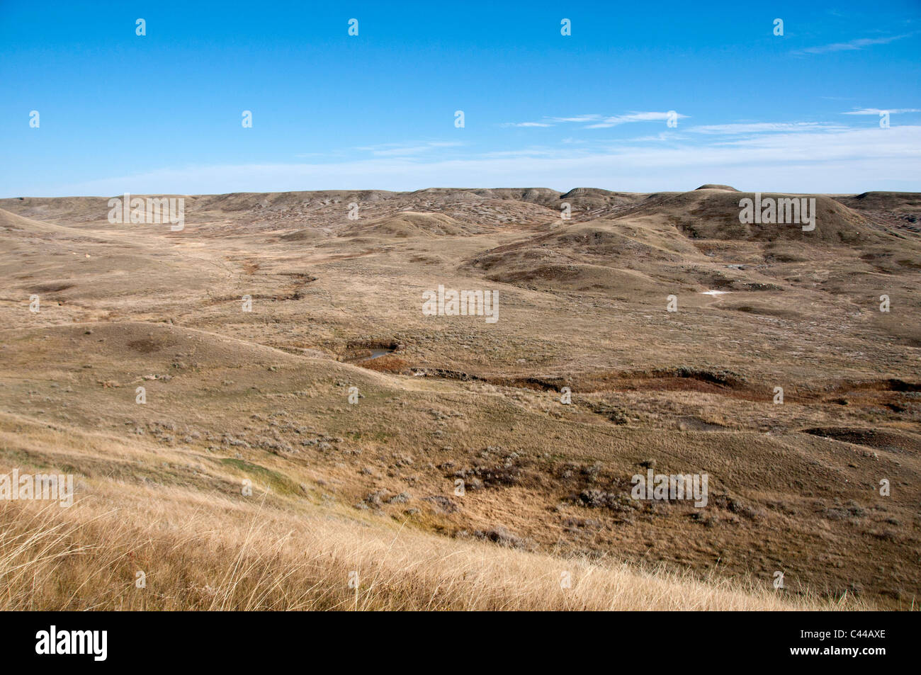West block, Grasslands National Park, Southern Sasketchewan, Canada