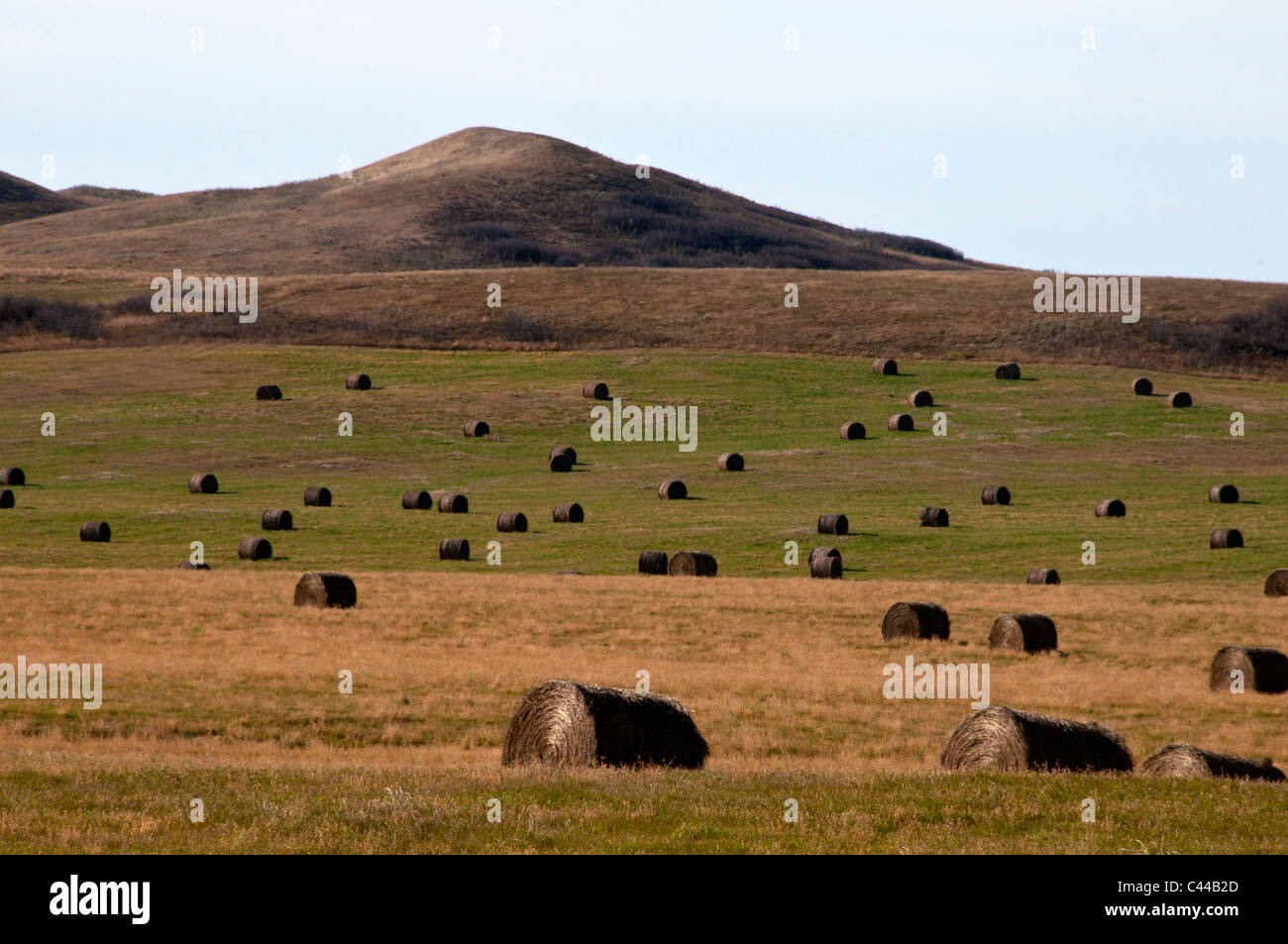 bales of hay, prairie, Southern Saskatchewan, Canada, North America, bales, hay, agriculture, landscape Stock Photo