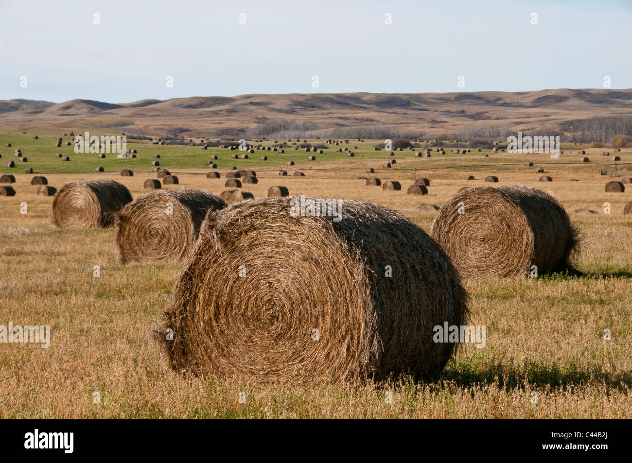 bales of hay, prairie, Southern Saskatchewan, Canada, North America, bales, hay, agriculture, landscape Stock Photo