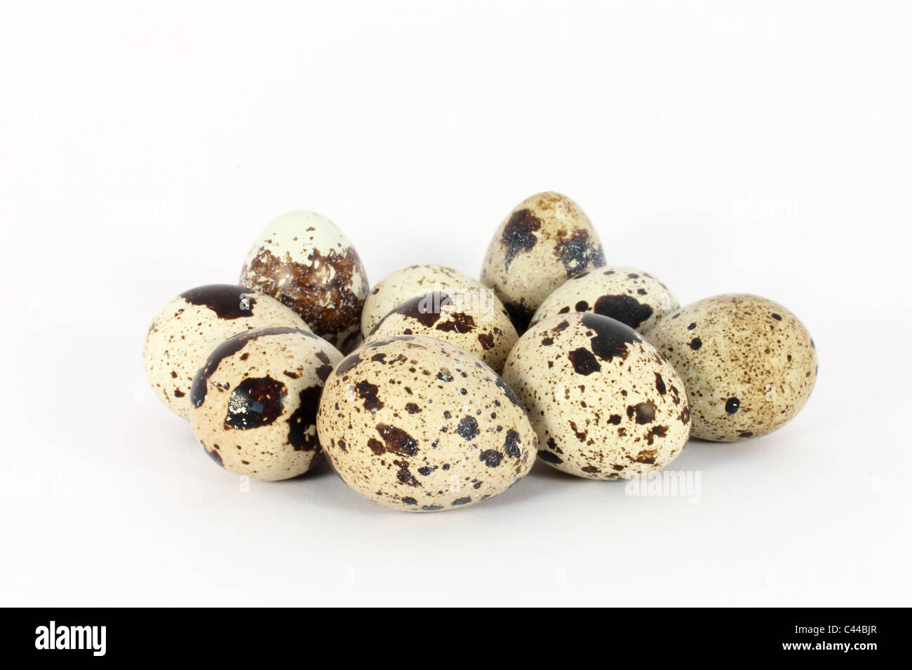 Eggs of Japanese quail isolated on white Stock Photo Alamy