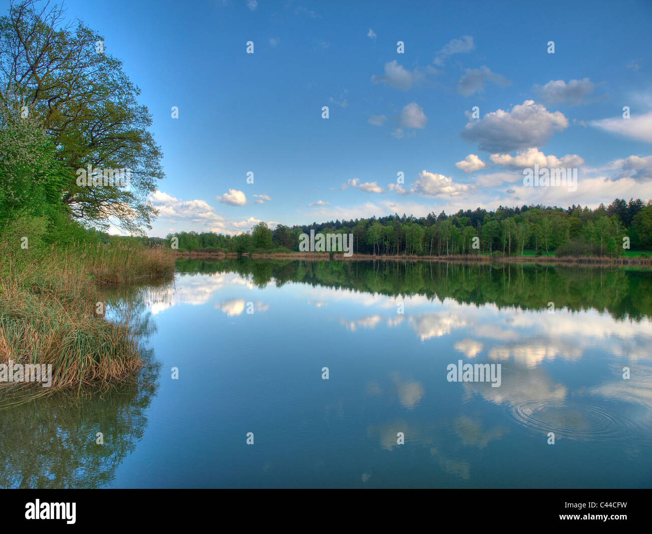 Blue, spring, himmel, idyl, lake, wood, forest, water, clouds, canton Zurich, Switzerland, Husemersee, lake, Ossingen, Stock Photo