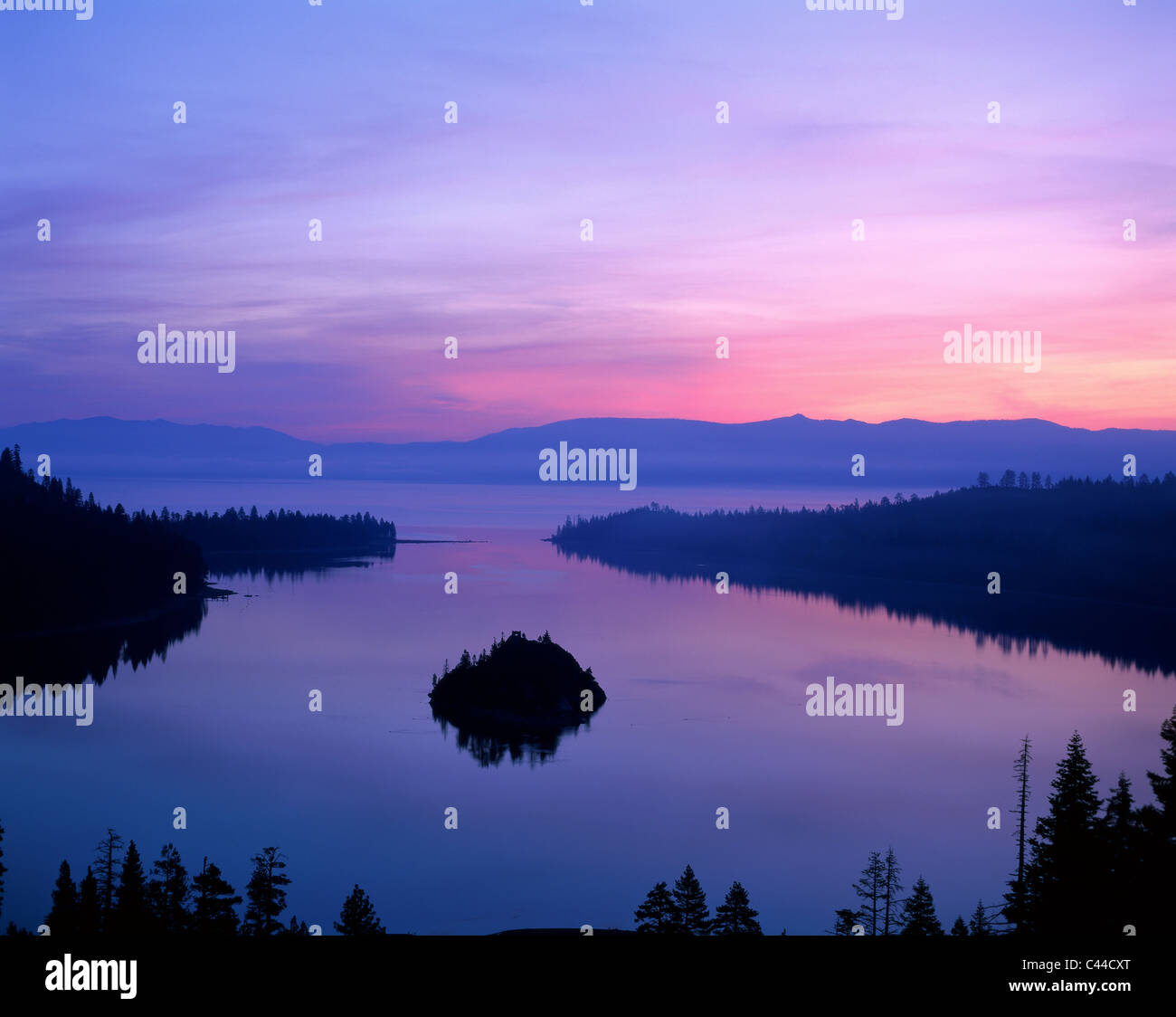 My Image 15