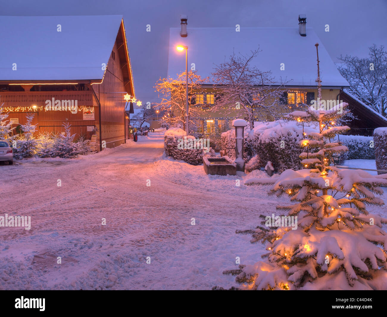 Schnee Zu Weihnachten 2022 Schweiz Cold, snow, Christmas, Christmas tree, winter, Kusnacht, canton Stock