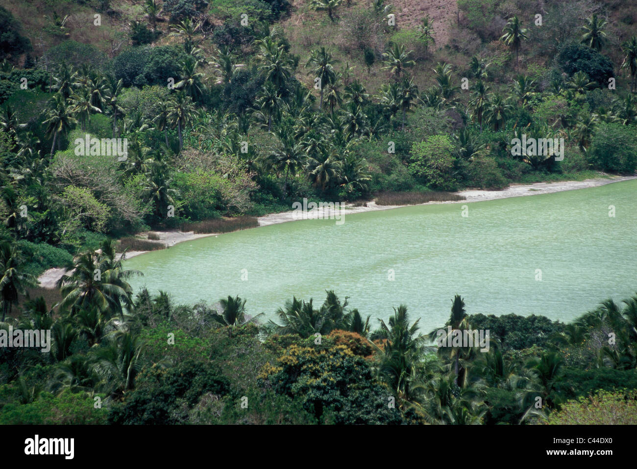 Comoro Archipelago, Comoros, Indian ocean, France, Mayotte, Dziani, lake, sea, palms, flora, vegetation, Stock Photo