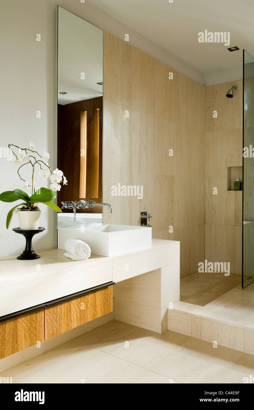 Minimalist bathroom with walk-in shower, stone surfaces and potted orchid Stock Photo