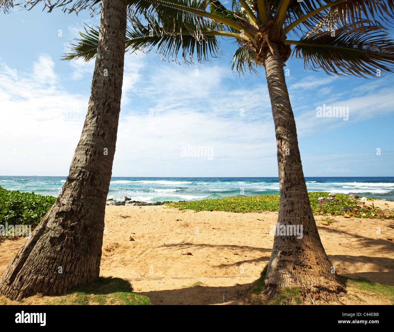 Beach scenery on Oahu island,Hawaii Stock Photo - Alamy