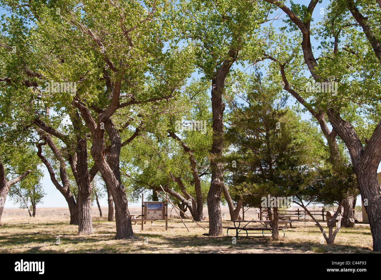 Tree massacre hires stock photography and images Alamy