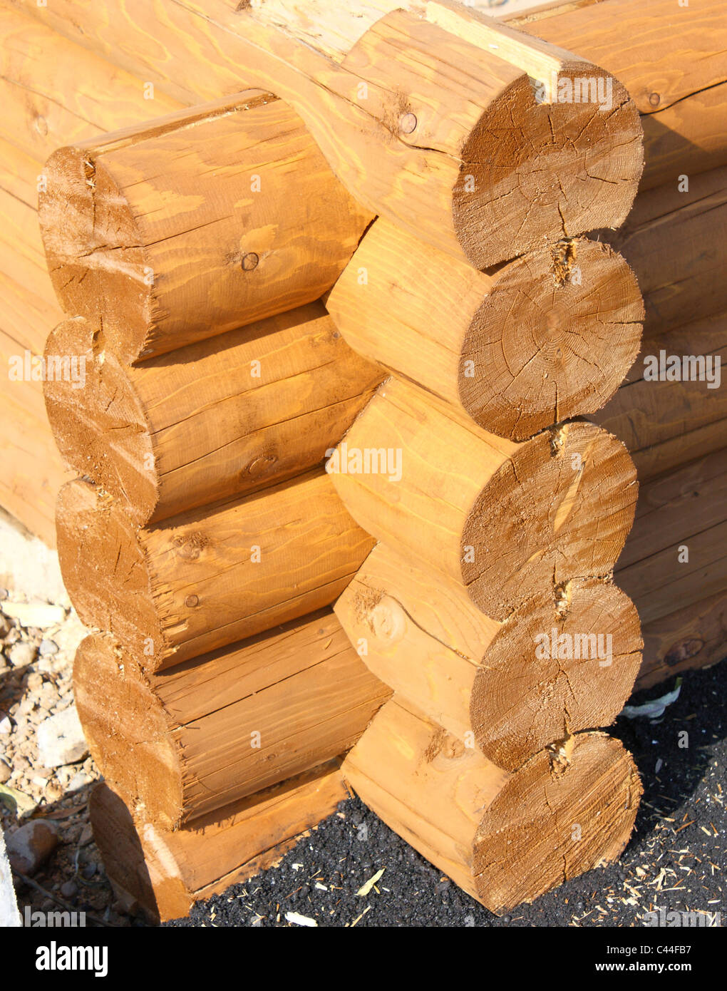 Wall Of A Rural Log House From The Fresh Cut Logs Stock Photo