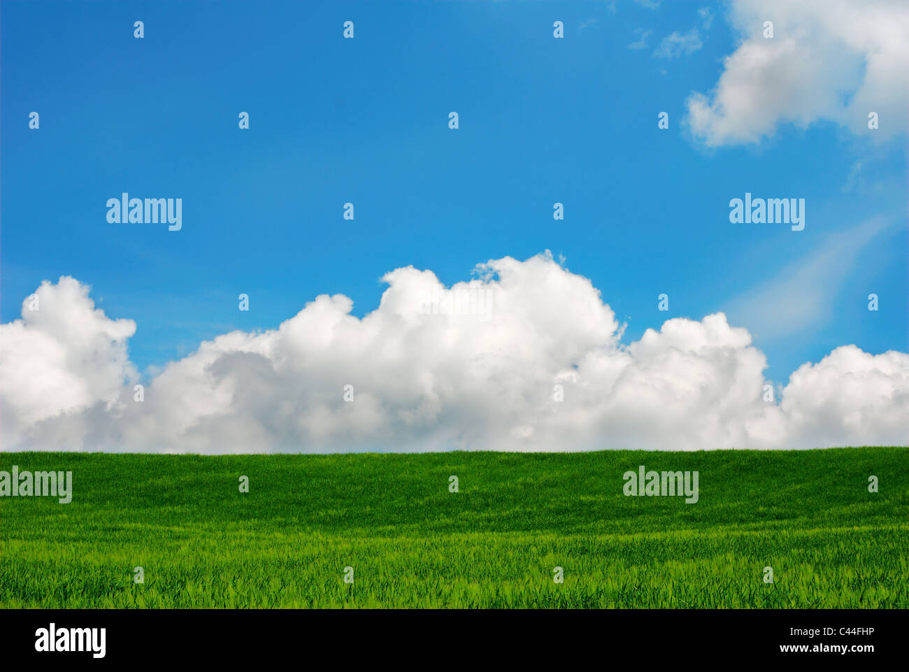 Summer landscape green field, blue sky and white clouds Stock Photo - Alamy