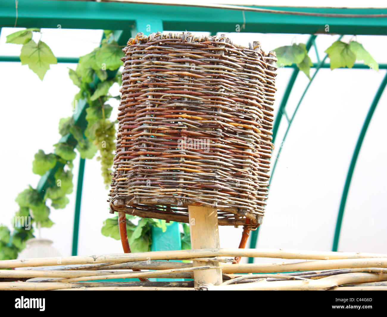 The wattled basket hangs on a wattled fence upside down Stock Photo