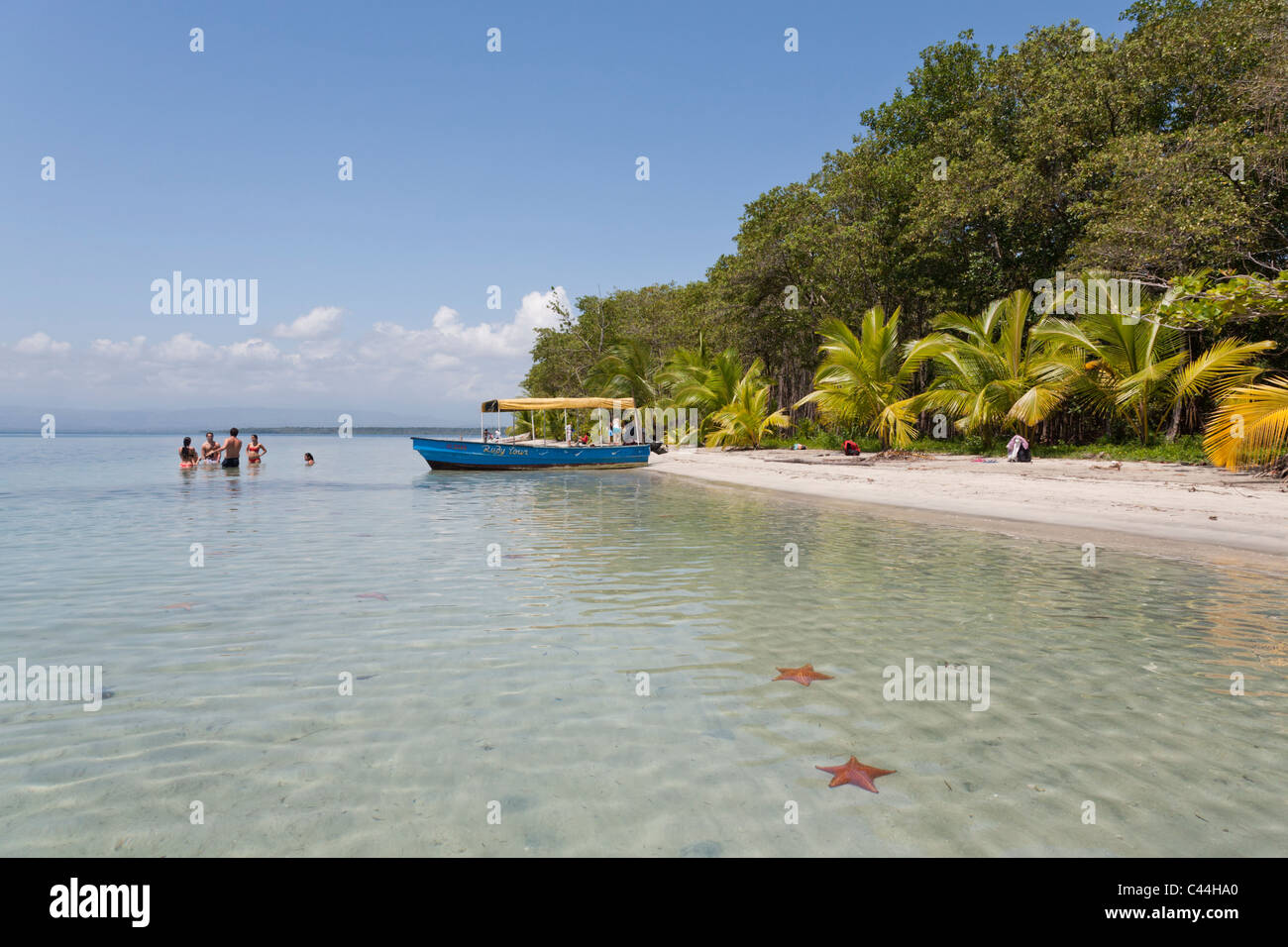 Starfish Beach, Isla Colon, Bocas Del Toro, Panama Stock Photo - Alamy