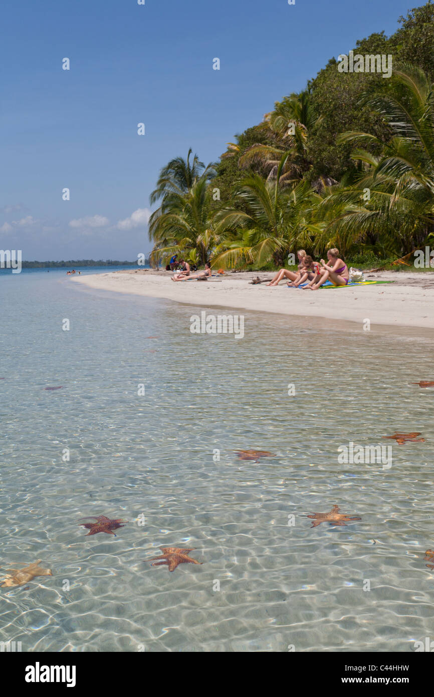 Starfish Beach, Isla Colon, Bocas Del Toro, Panama Stock Photo