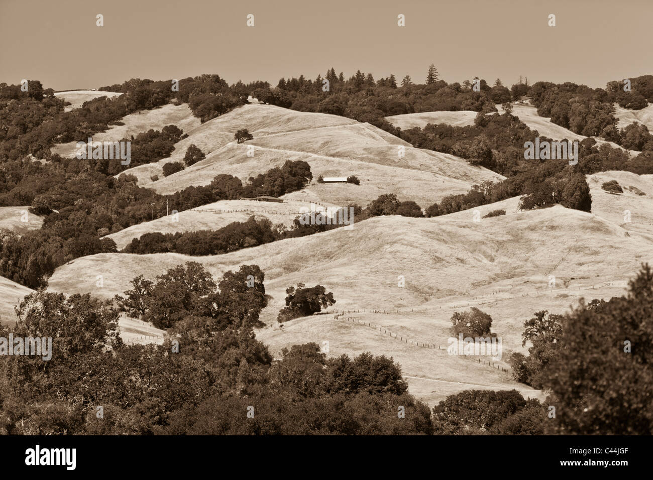 BOONVILLE, CALIFORNIA, USA - Anderson Valley landscape in Mendocino County. Stock Photo