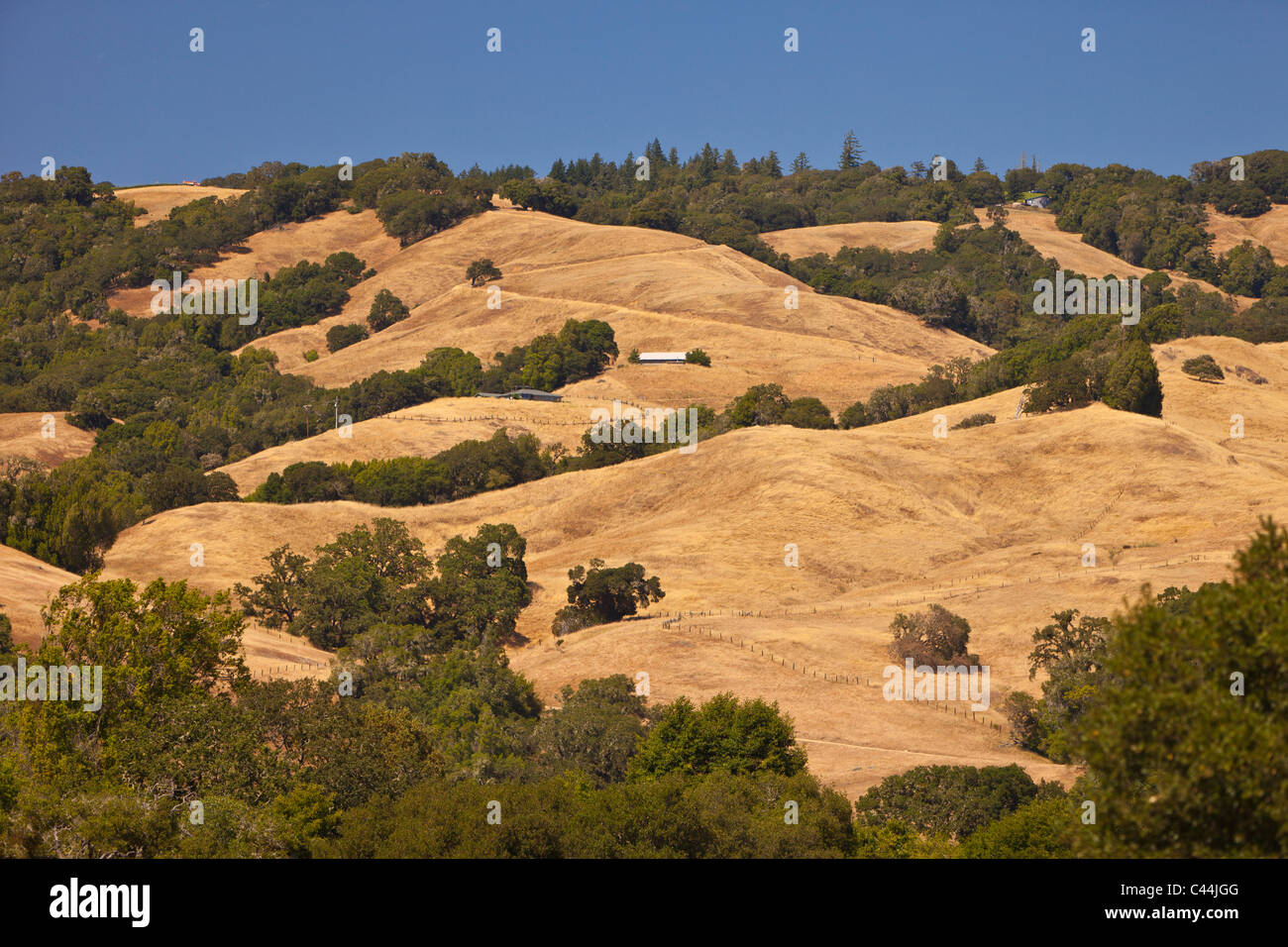 BOONVILLE, CALIFORNIA, USA Anderson Valley landscape in Mendocino