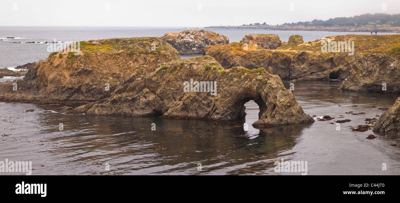 MENDOCINO, CALIFORNIA, USA -Rock formations on the Pacific coast, Mendocino Headlands State Park. Stock Photo