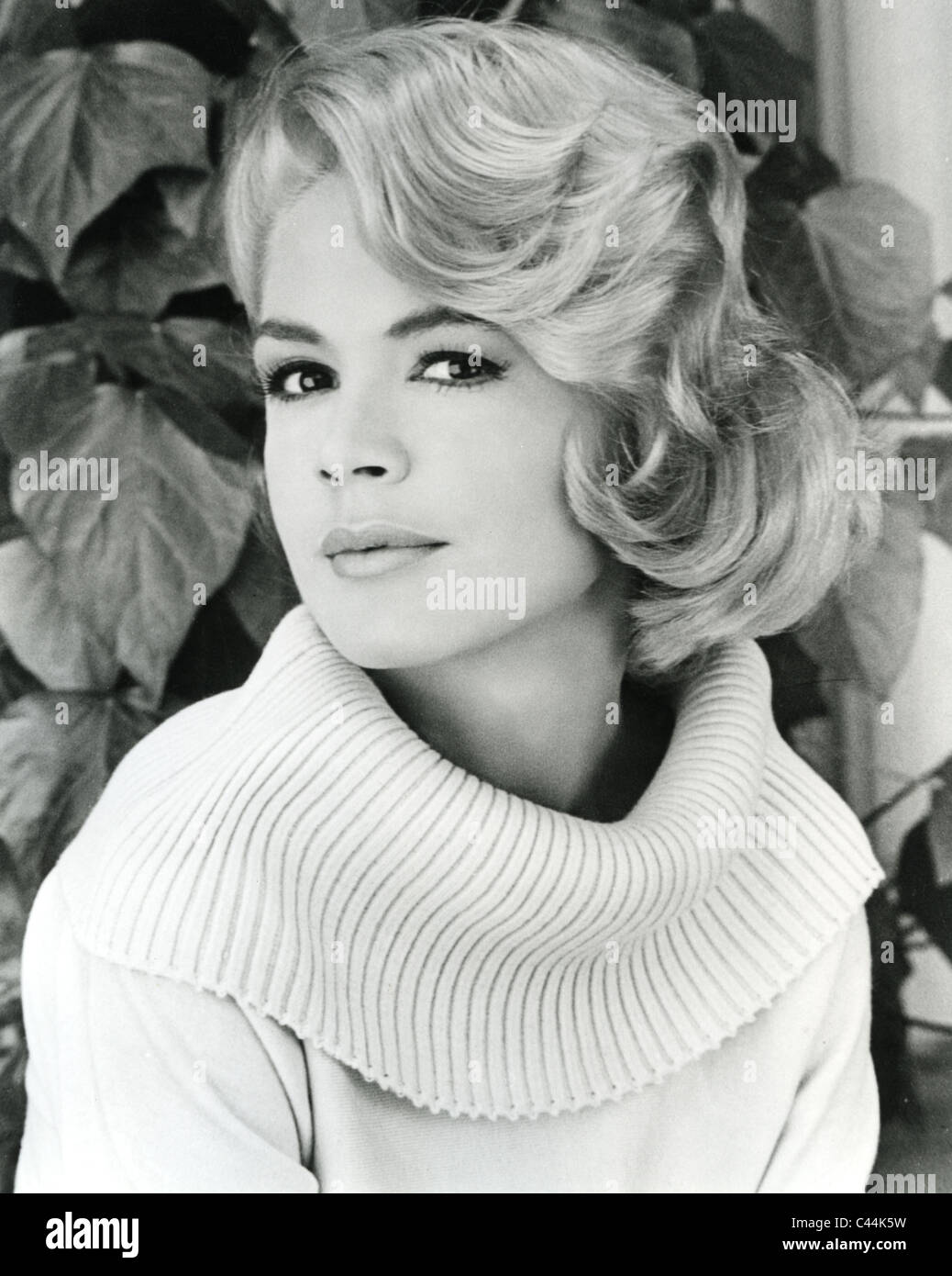 Sandra dee hi-res stock photography and images - Alamy