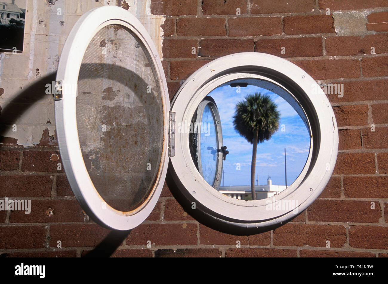 Palm Tree Seen through Porthole type Window inside the Cape Canaveral