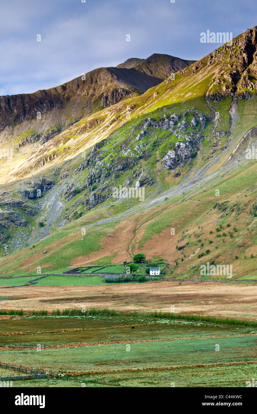 Whitewashed Welsh Cottage below the peak of Foel Goch, Nant Ffrancon Valley, Snowdonia National Park, Gwynedd, North Wales, UK Stock Photo