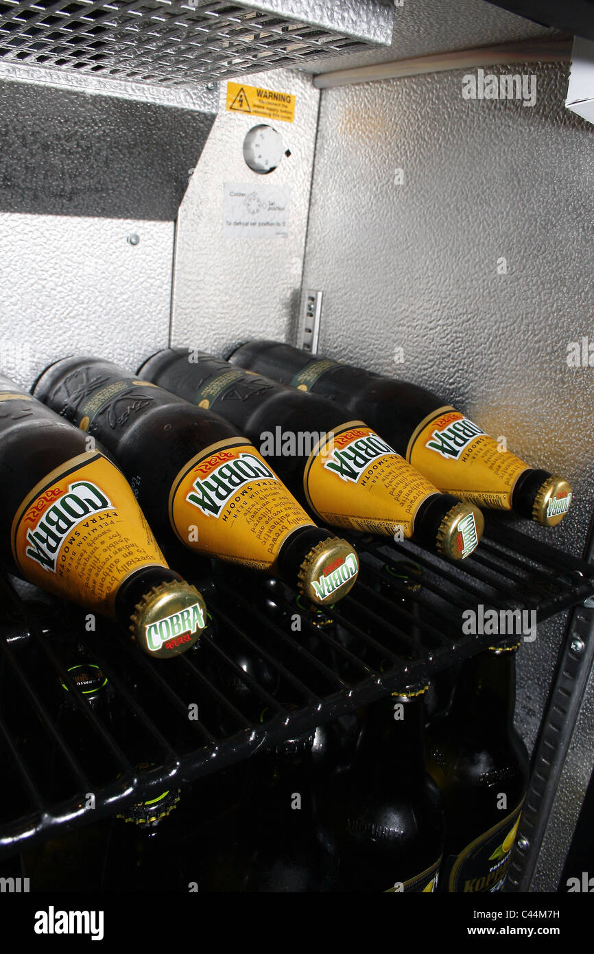 bottles of cobra laid in a row in fridge Stock Photo