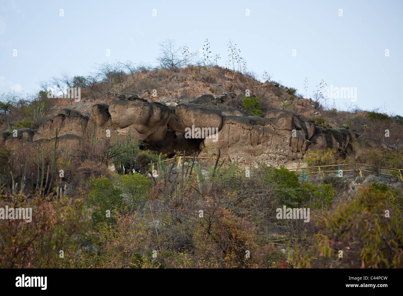 Rock engravings of Taino Culture National Park Lago Enriquillo Dominican Republic Stock Photo
