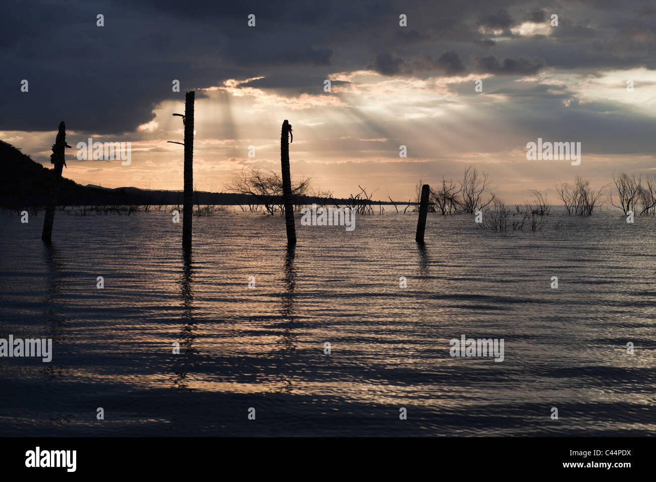 Sunrise at Saltlake Lago Enriquillo, Independencia Province, Dominican Republic Stock Photo