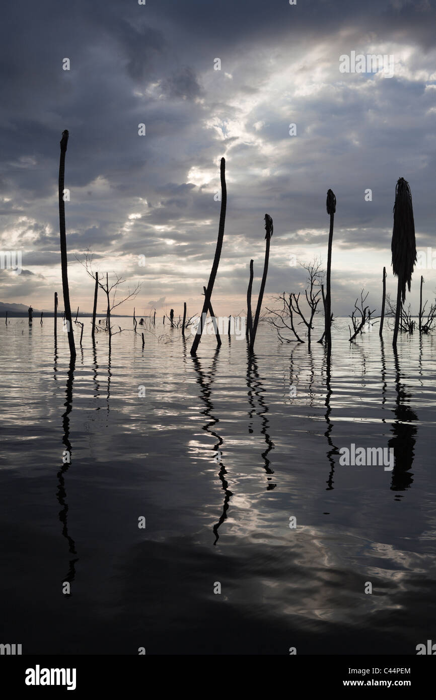 Dawn at Saltlake Lago Enriquillo, Independencia Province, Dominican Republic Stock Photo