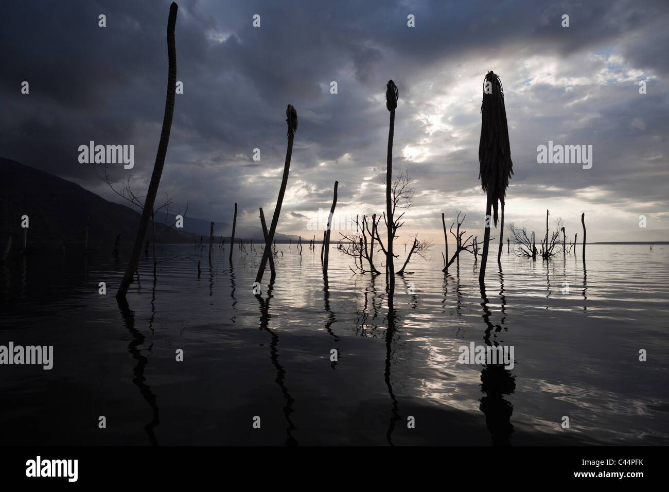 Dawn at Saltlake Lago Enriquillo, Independencia Province, Dominican Republic Stock Photo