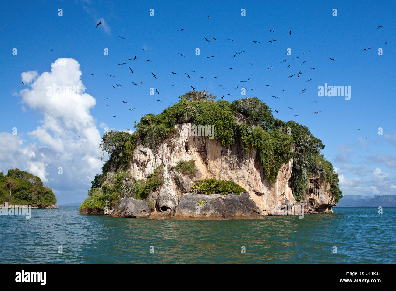 Bird Island La Cacata, Los Haitises National Park, Dominican Republic Stock Photo