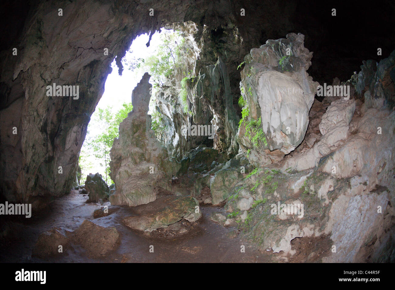 San Gabriel Limestone Cave, Los Haitises National Park, Dominican Republic Stock Photo