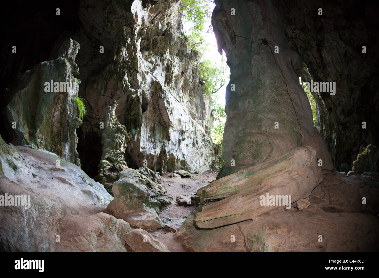 San Gabriel Limestone Cave, Los Haitises National Park, Dominican Republic Stock Photo