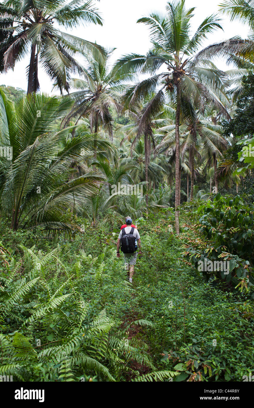 Hiking at Los Haitises National Park, Los Haitises National Park, Dominican Republic Stock Photo