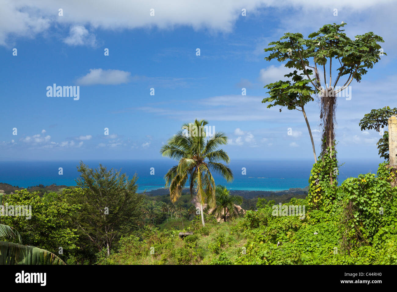 Landscape near Las Terrenas, Samana Peninsula, Dominican Republic Stock Photo
