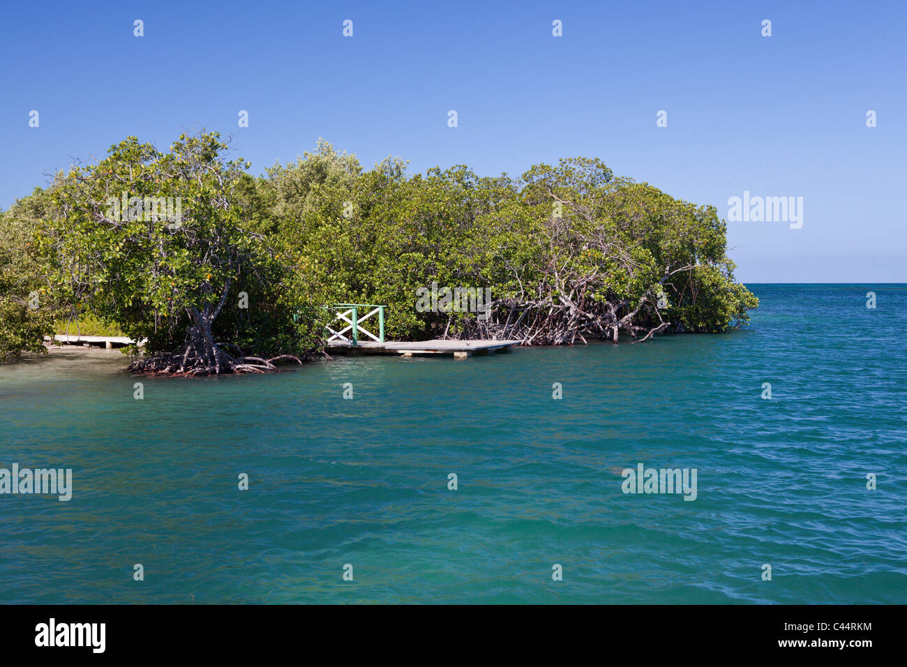 Mangroves of National Park Estero Hondo, Dominican Republic Stock Photo