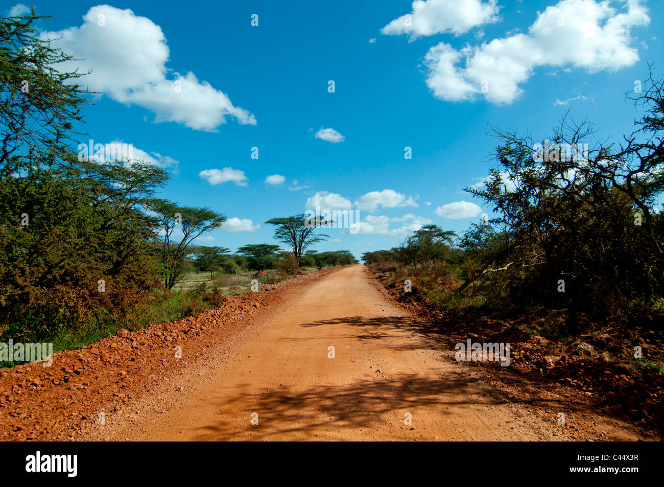 East Africa, Kenya, Amboseli, road, game reserve, park, tourism, attraction, transport, dirt, rough, track, road, Kilimanjaro, d Stock Photo