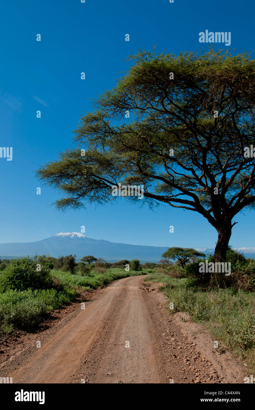 East Africa, Kenya, Amboseli, road, game reserve, park, tourism, attraction, transport, dirt, rough, track, road, Kilimanjaro, d Stock Photo