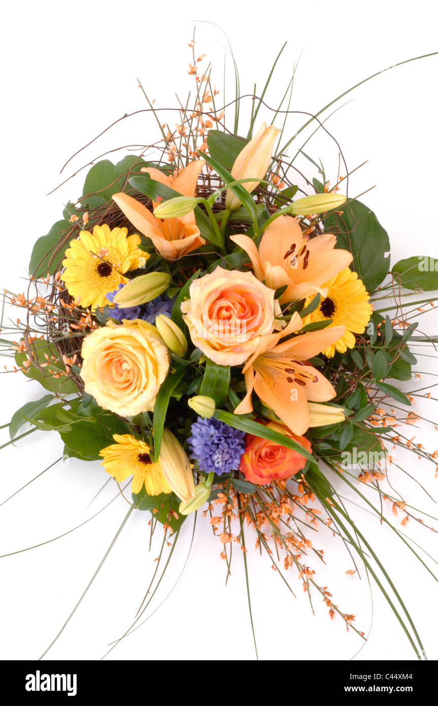 Spring flowers isolated hi-res stock photography and images - Alamy