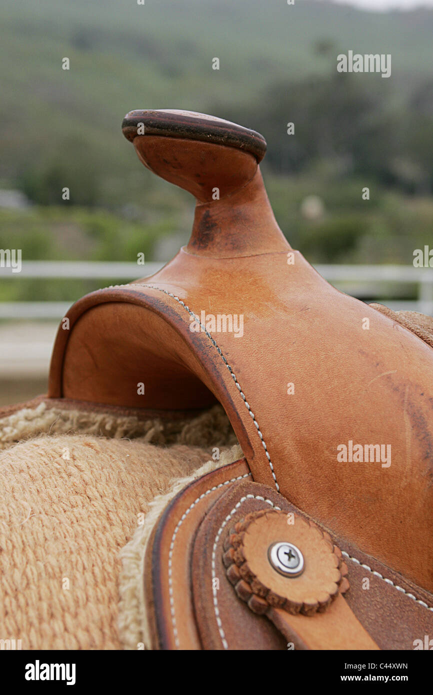 Horn on western saddle hi-res stock photography and images - Alamy